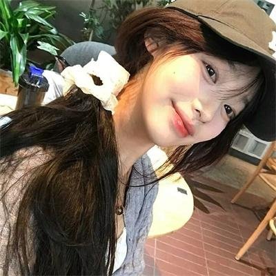 汪喵物语 封面